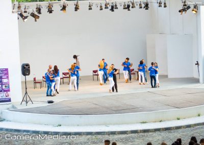Viva Dance proiect Teatru de Vara Parcul Nicolae Romanescu (9)